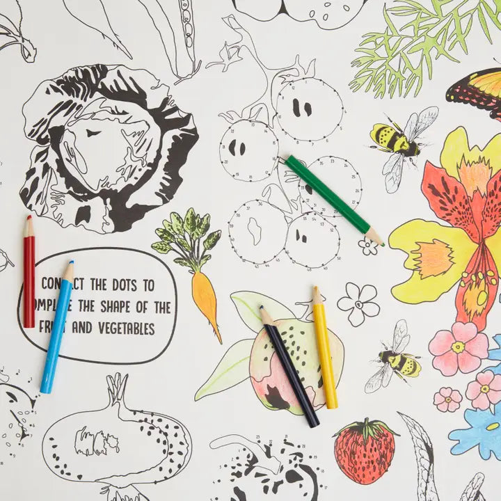 Rhs Colouring Roll & Pencils White, 3 Meters Bugs and Blooms