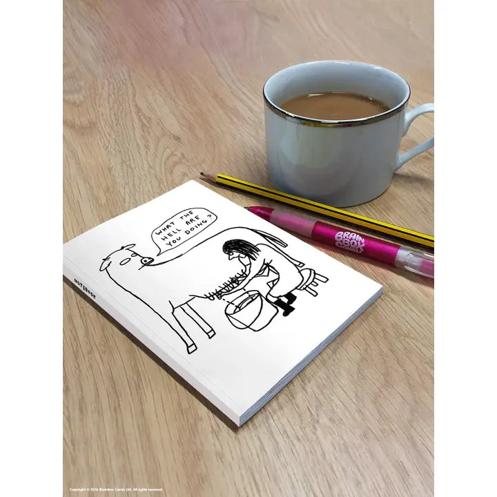 David Shrigley A6 Notebook - What the Hell