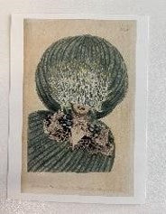 Edith Rimmington A6 postcard