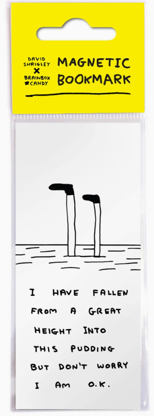 David Shrigley Magnetic Bookmark - Pudding