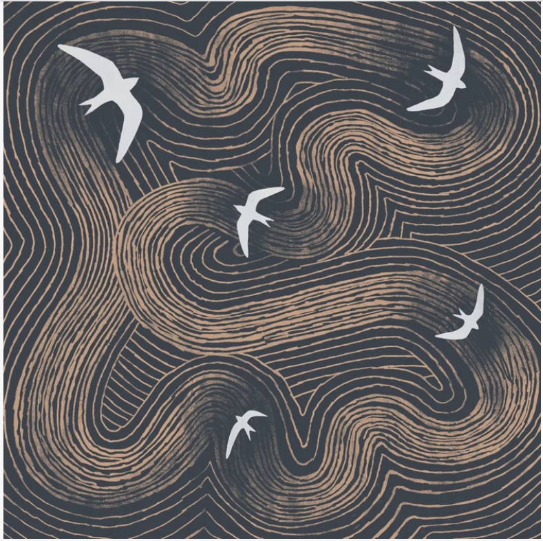 Swifts Greetings Card