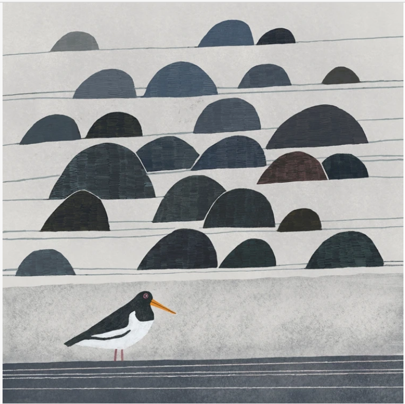 Stony Beach Greetings Card