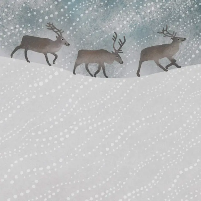 Reindeer in the Snow Greetings Card