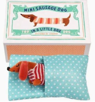 Mini Sausage Dog in A Little Box