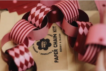 Berry & Blush Paper Chain Kit