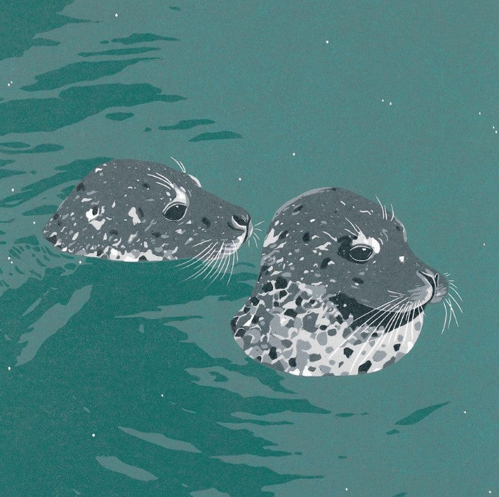 Two Seals Greetings Card
