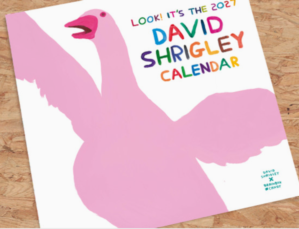 David Shrigley Official Wall Calendar 2027