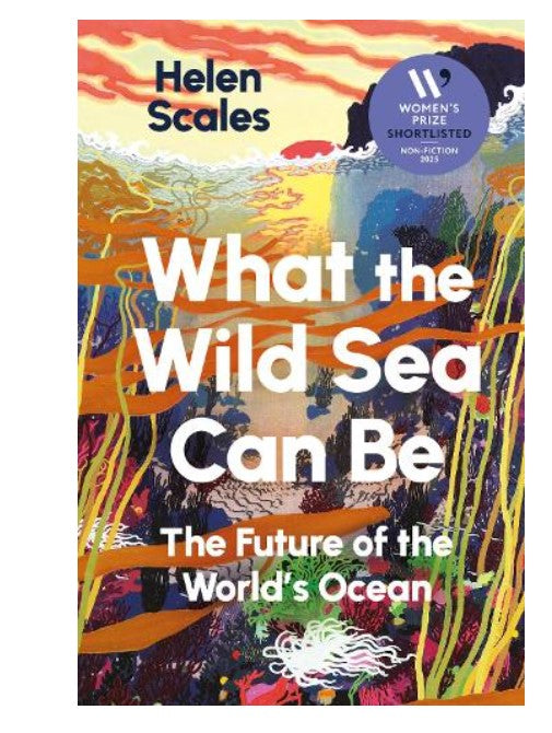 What the Wild Sea Can Be (Paperback)