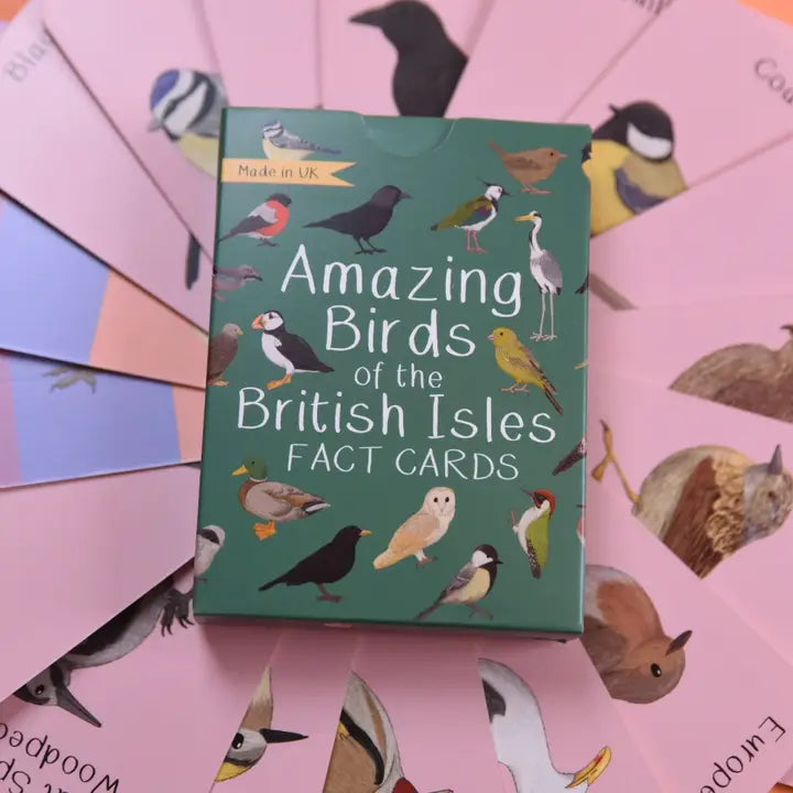 Amazing Birds of the British Isles Fact Cards