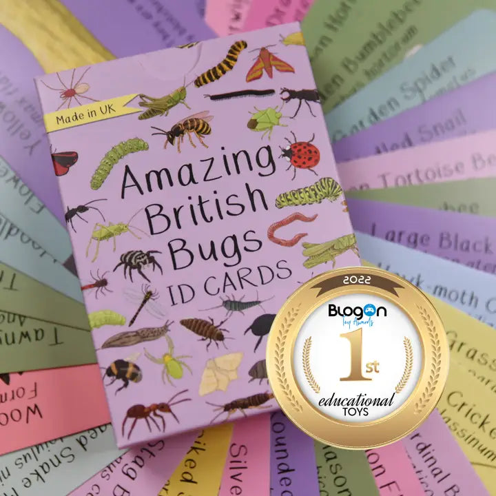Amazing British Bugs Id Cards