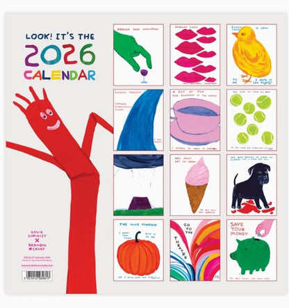 David Shrigley Official Wall Calendar 2026
