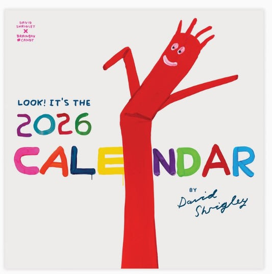 David Shrigley Official Wall Calendar 2026