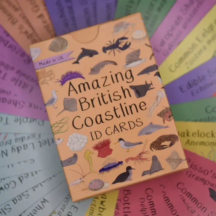 Amazing British Coastline Id Cards
