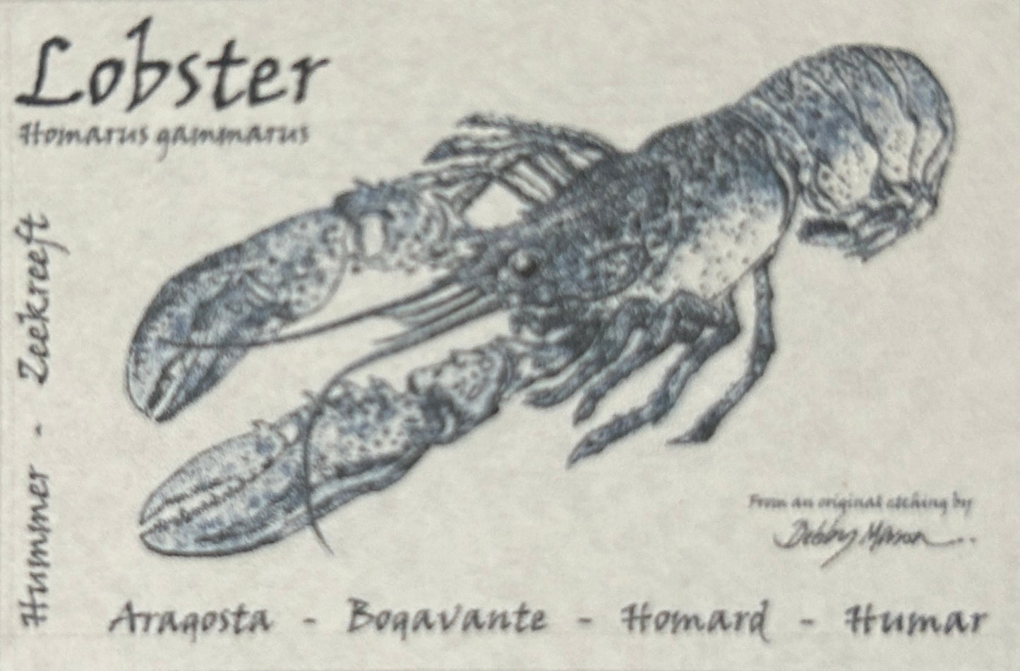 Debby Mason Tea Towel