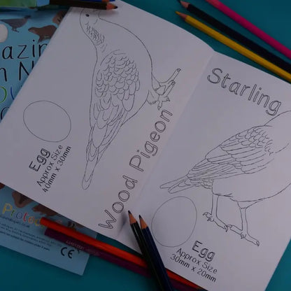 Amazing British Nature Colouring Book