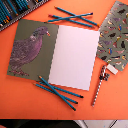 Amazing British Birds Notebook