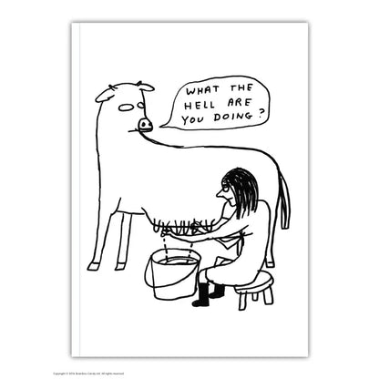 David Shrigley A6 Notebook - What the Hell