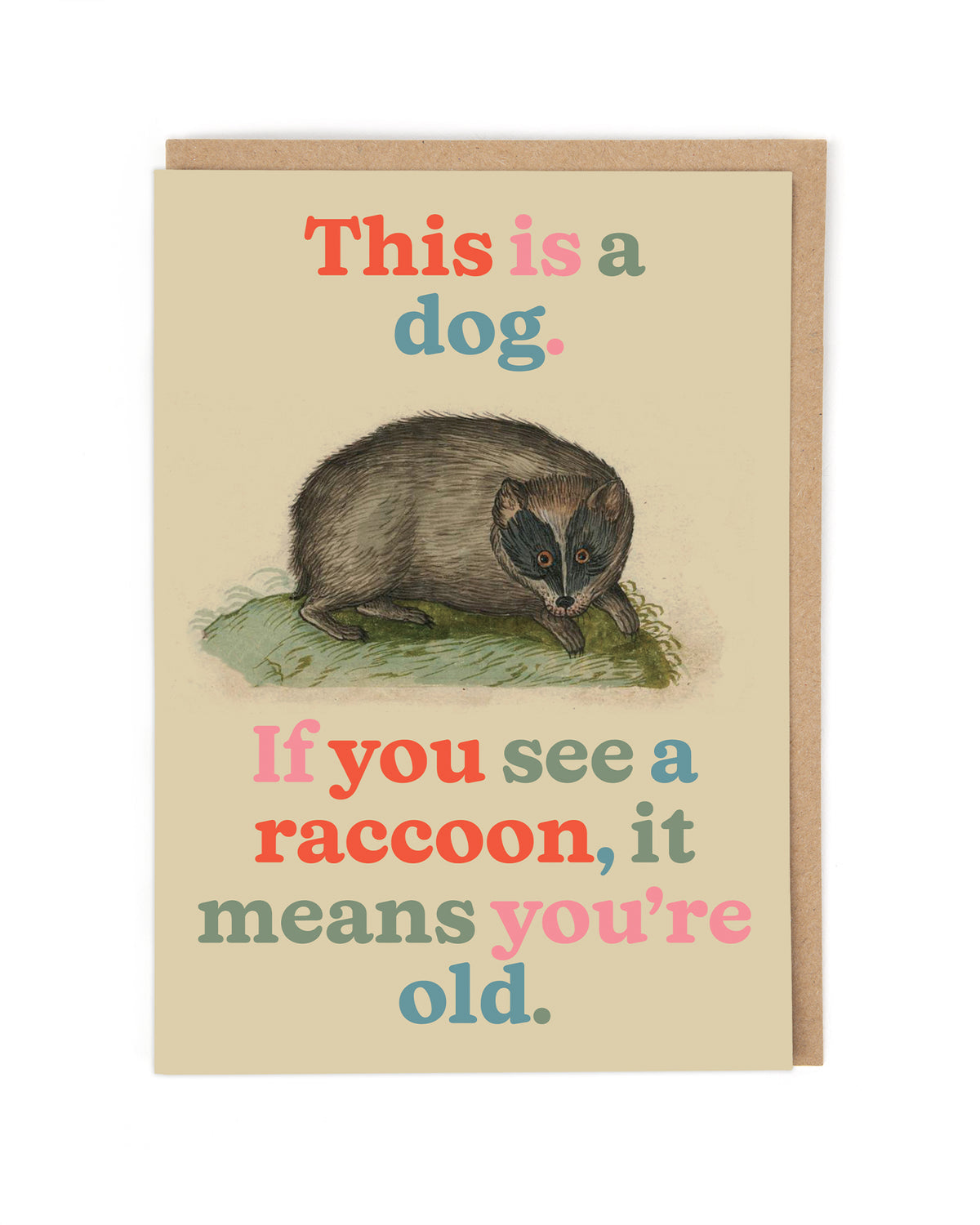 Not a Raccoon Greetings Card