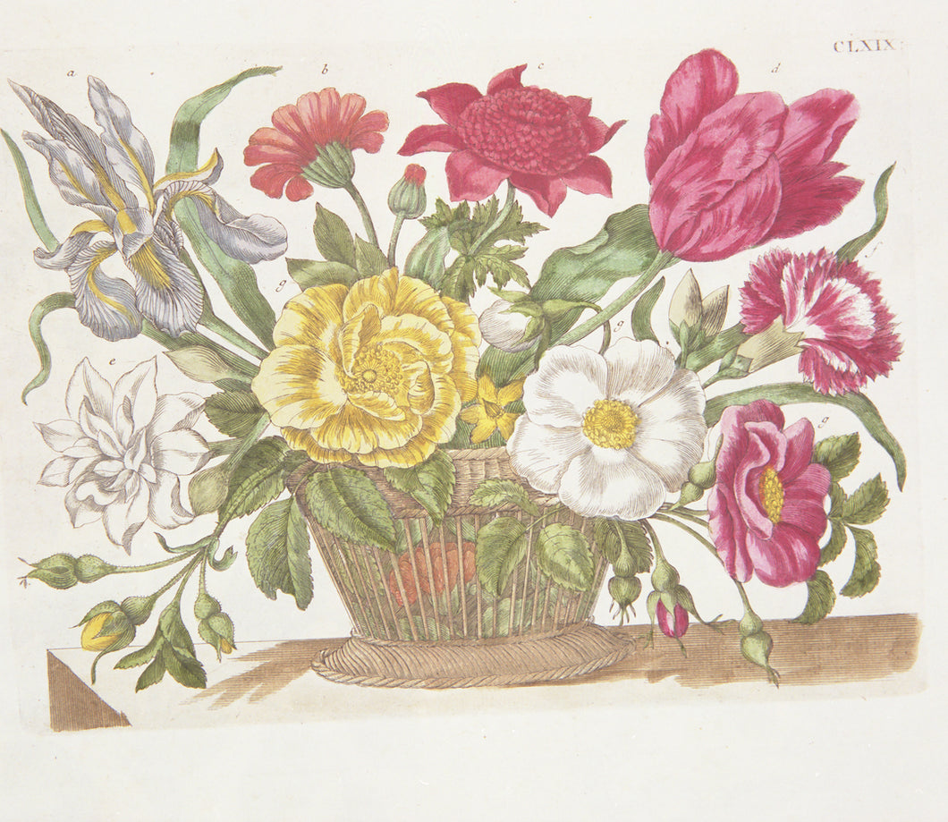 Maria Sibylla Flower Basket, Print
