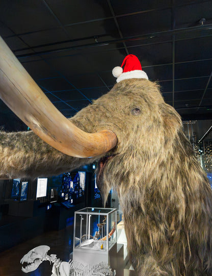 Elf Academy: Adventure at the Museum - Saturday 5 December