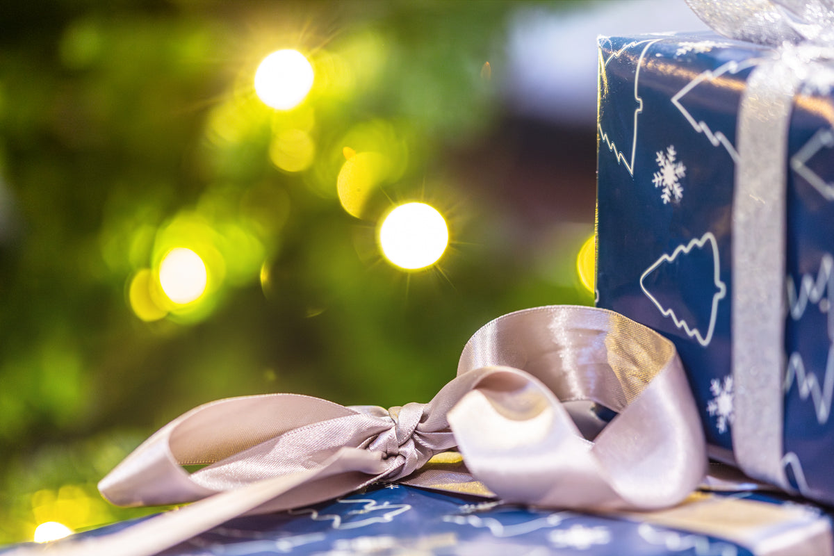 Elf Academy: Adventure at the Museum - Saturday 5 December