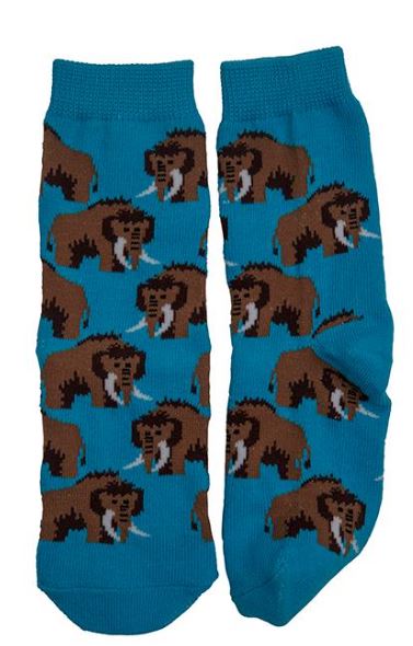 Children's Mammoth Socks