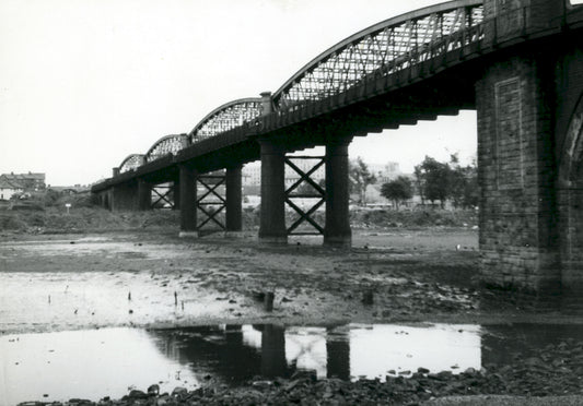 Weston Mill Viaduct, Print