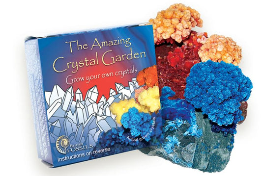 The Amazing Crystal Garden