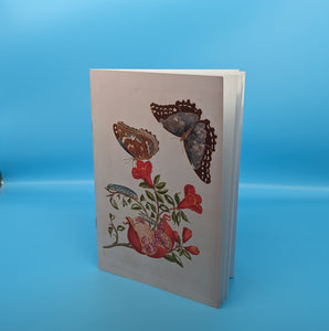 A5 Plain Notebook Maria Sibylla - Butterfly