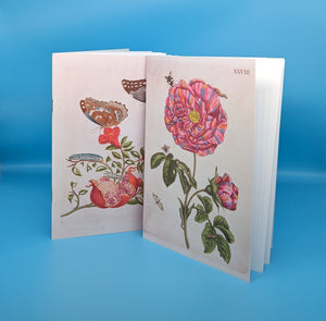 A5 Plain Notebook Maria Sibylla - Flower