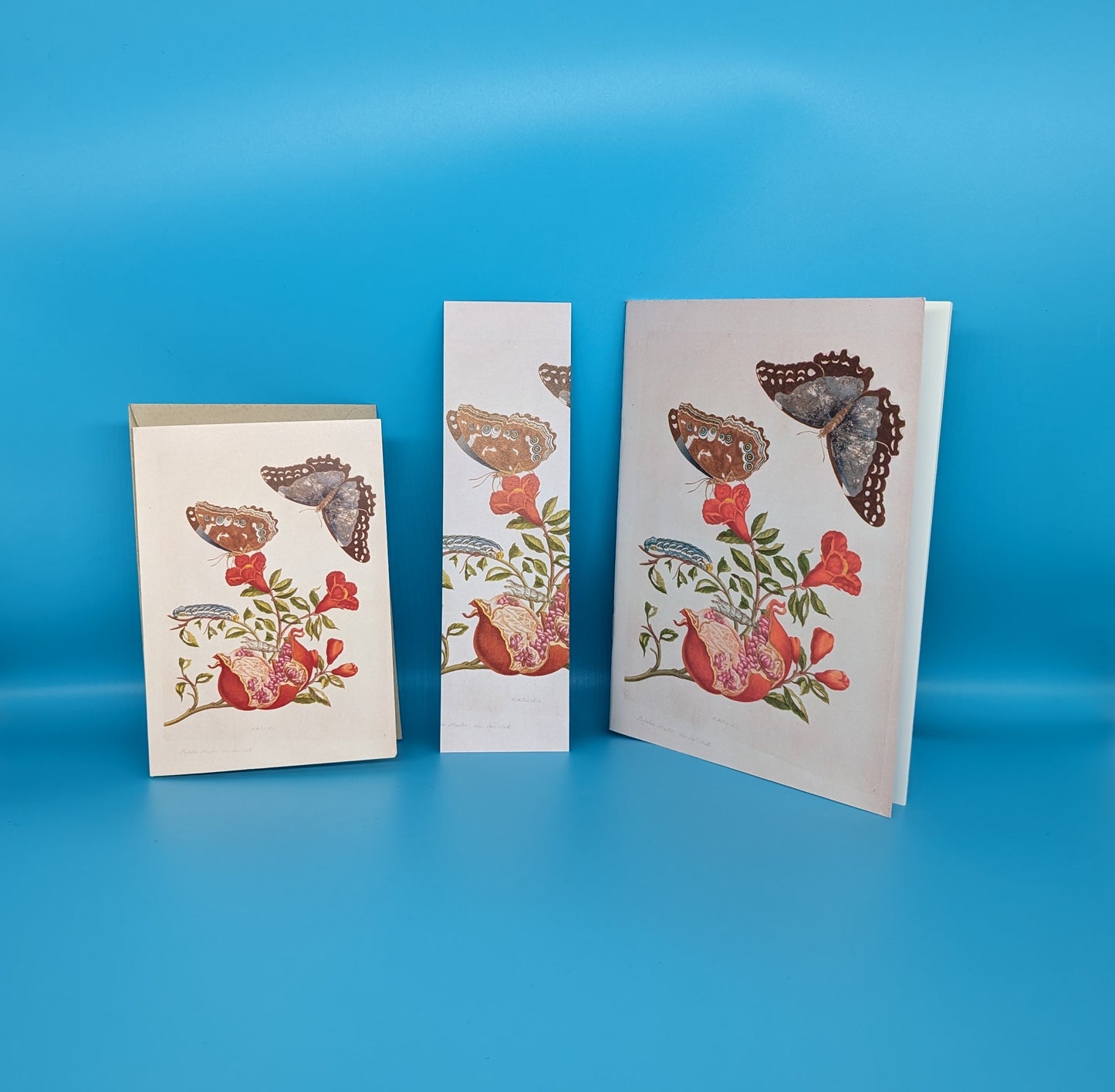 A5 Plain Notebook Maria Sibylla - Butterfly