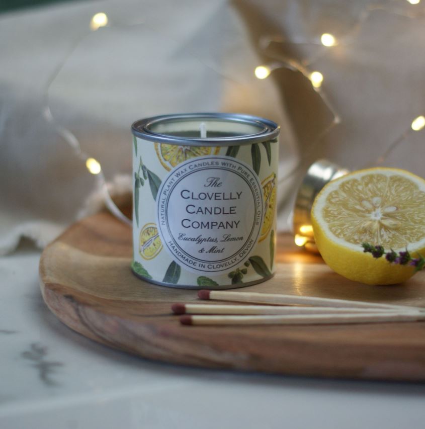 Eucalyptus, Lemon and Mint - Paint Tin Candle