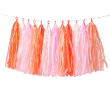 Load image into Gallery viewer, Tassel Garland - Pink or Blue
