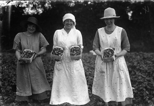 Women holding punnets of Strawberries, Print