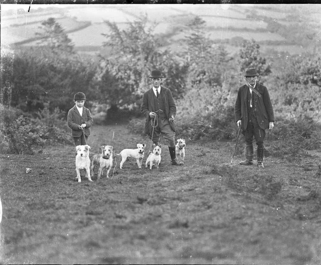 Terriers on Dartmoor, Print