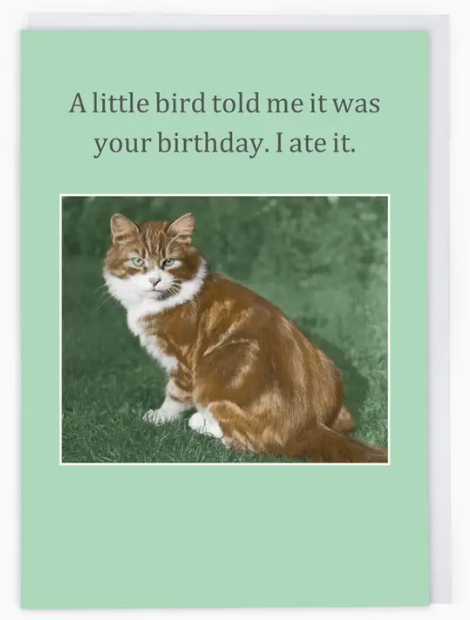 A Little Bird Told Me Greetings Card