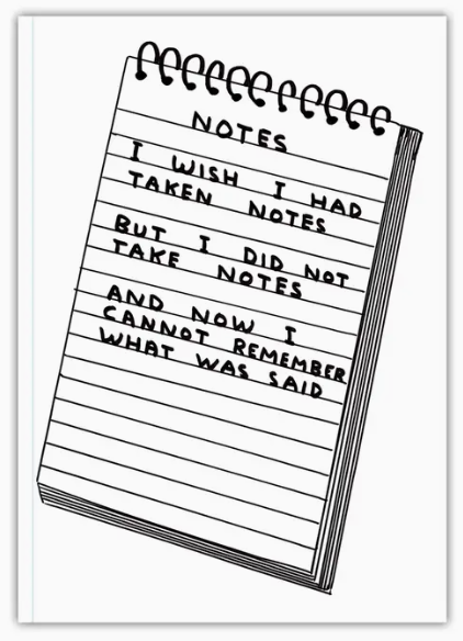 David Shrigley A5 Notebook Wish I'd Taken Notes