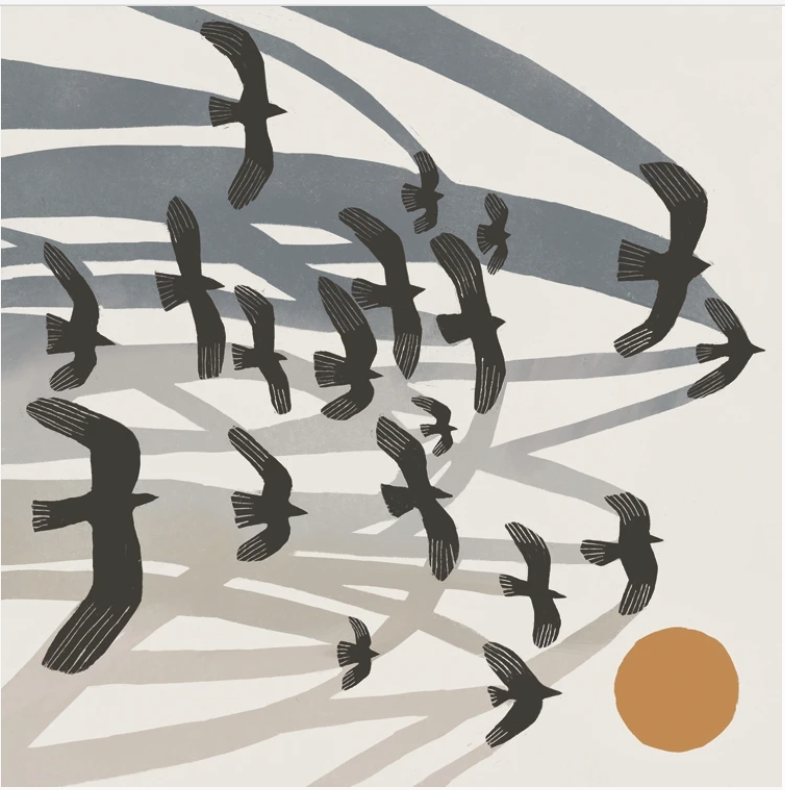 Flights Greetings Card
