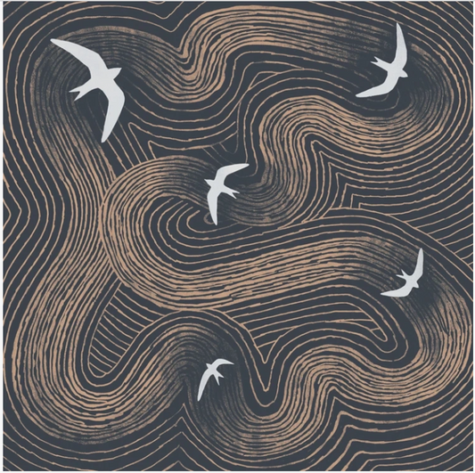 Swifts Greetings Card