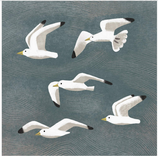 Seagulls Greetings Card