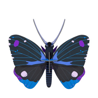 Blue Diadem Butterfly 3D Wall Art