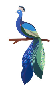 Paradise Bird - Peacock 3D Wall Art