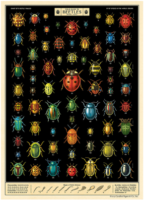 Cavallini Vintage Poster Paper