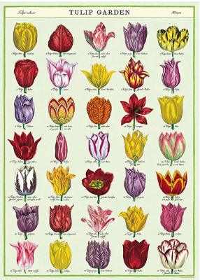 Cavallini Vintage Poster Paper