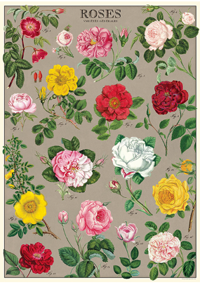 Cavallini Vintage Poster Paper