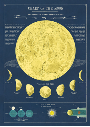 Cavallini Vintage Poster Paper
