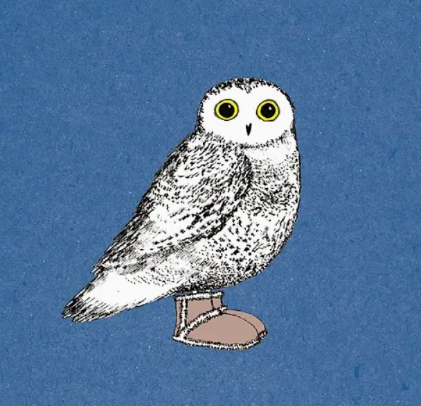 Winter Feet Greetings Card