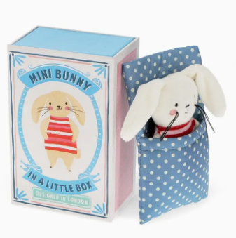 Mini Bunny in A Little Box