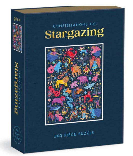 Constellations 101: Stargazing Puzzle