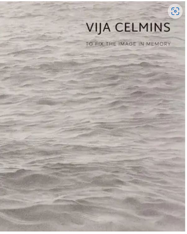 Vija Celmins - To Fix the Image in Memory